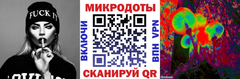 Псилоцибиновые грибы Psilocybe  Курчалой 