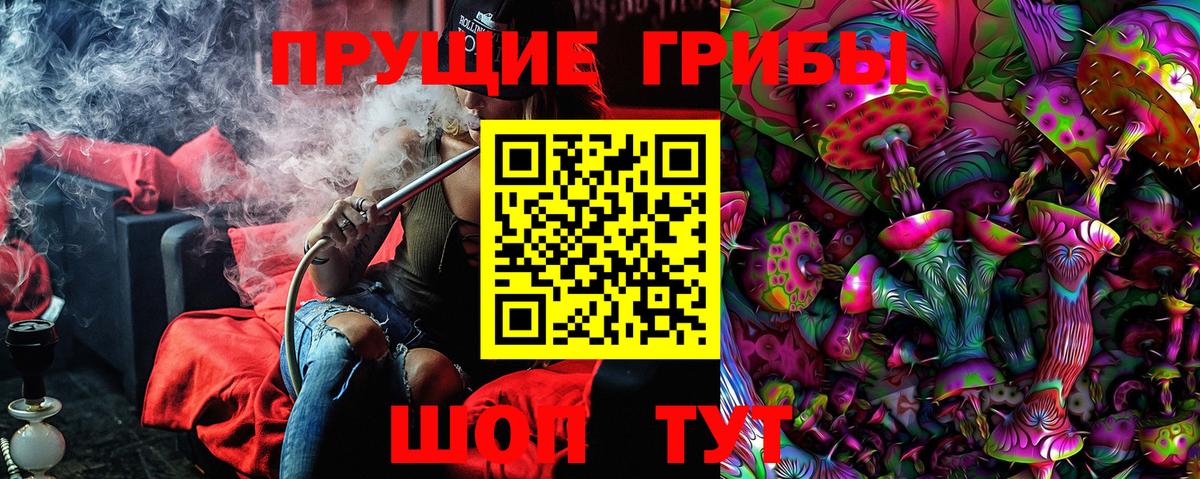 Галлюциногенные грибы Psilocybine cubensis  Псилоцибиновые грибы Psilocybine cubensis  Вход с VPN  Курчалой 