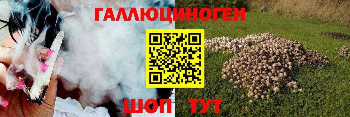 Псилоцибиновые грибы Magic Shrooms Курчалой