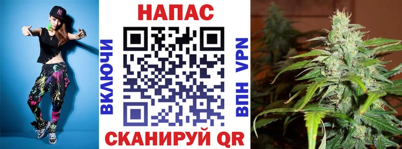 купить   Курчалой  Канабис White Widow 